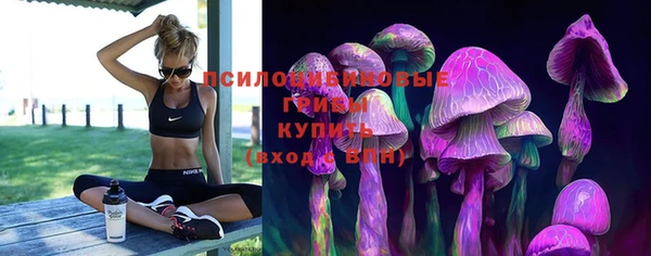 спайс Арсеньев