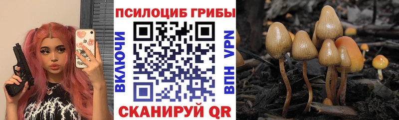Псилоцибиновые грибы мицелий  Усть-Джегута 